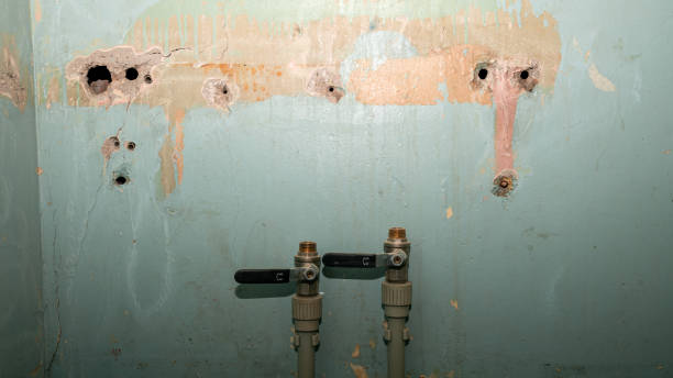 Best Water damage mitigation services  in Chappaqua, NY