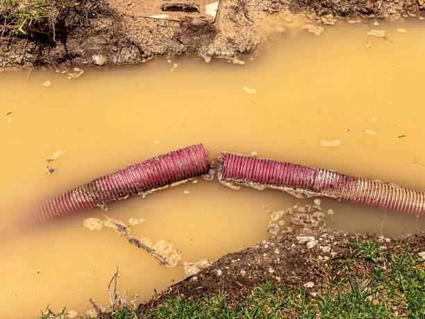 Best Flood damage cleanup  in Chappaqua, NY