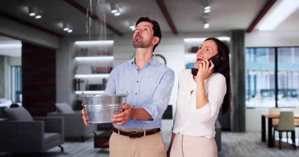 Best Water damage contractors near me  in Chappaqua, NY