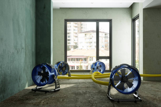 Best Water damage restoration experts  in Chappaqua, NY